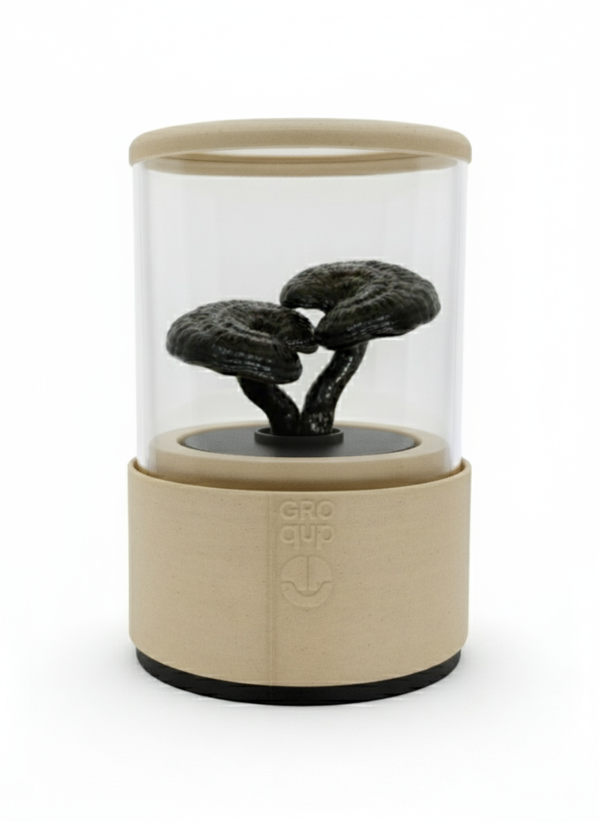 Groqup Mushroom Master