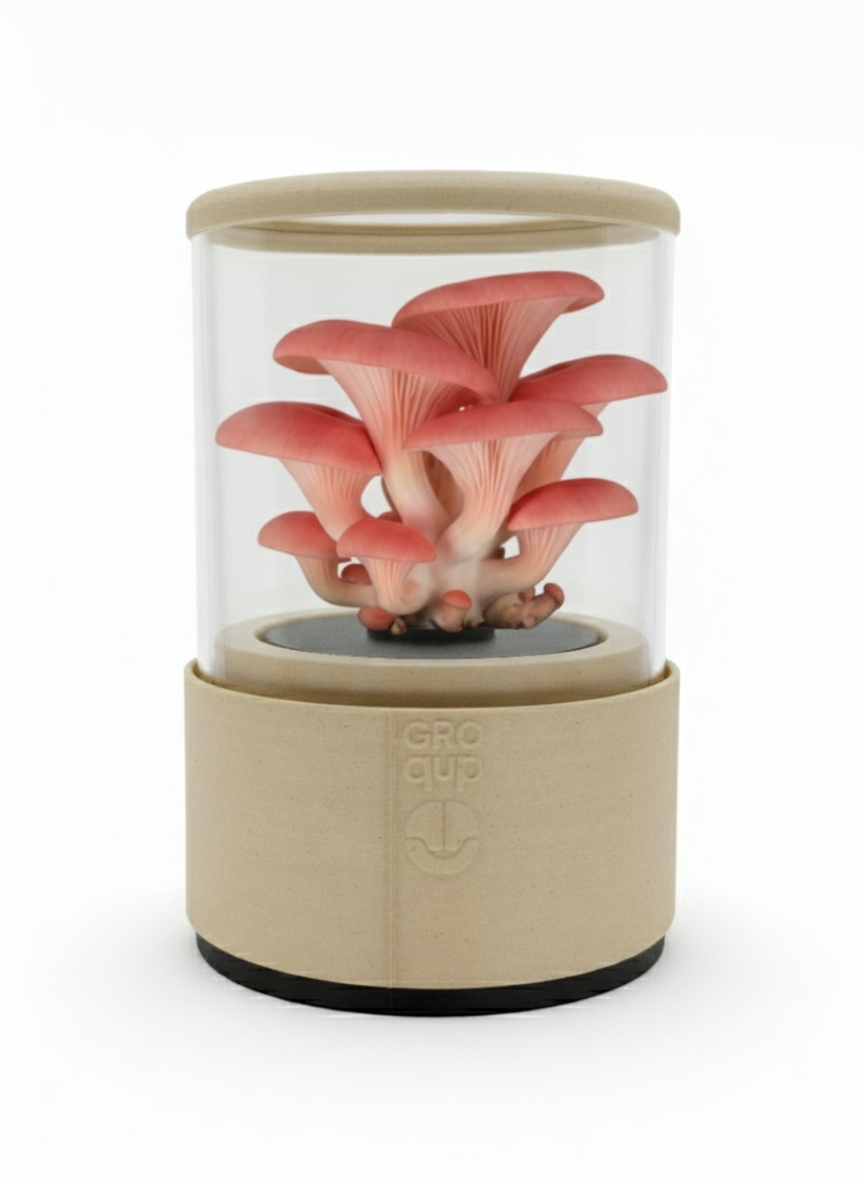 Groqup Mushroom Master