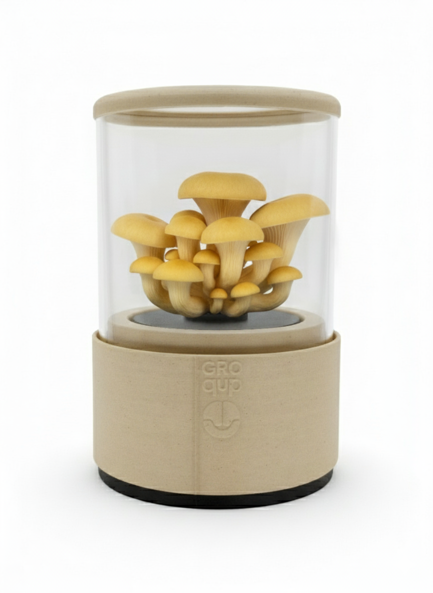 Groqup Mushroom Master