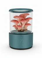 Groqup Mushroom Master