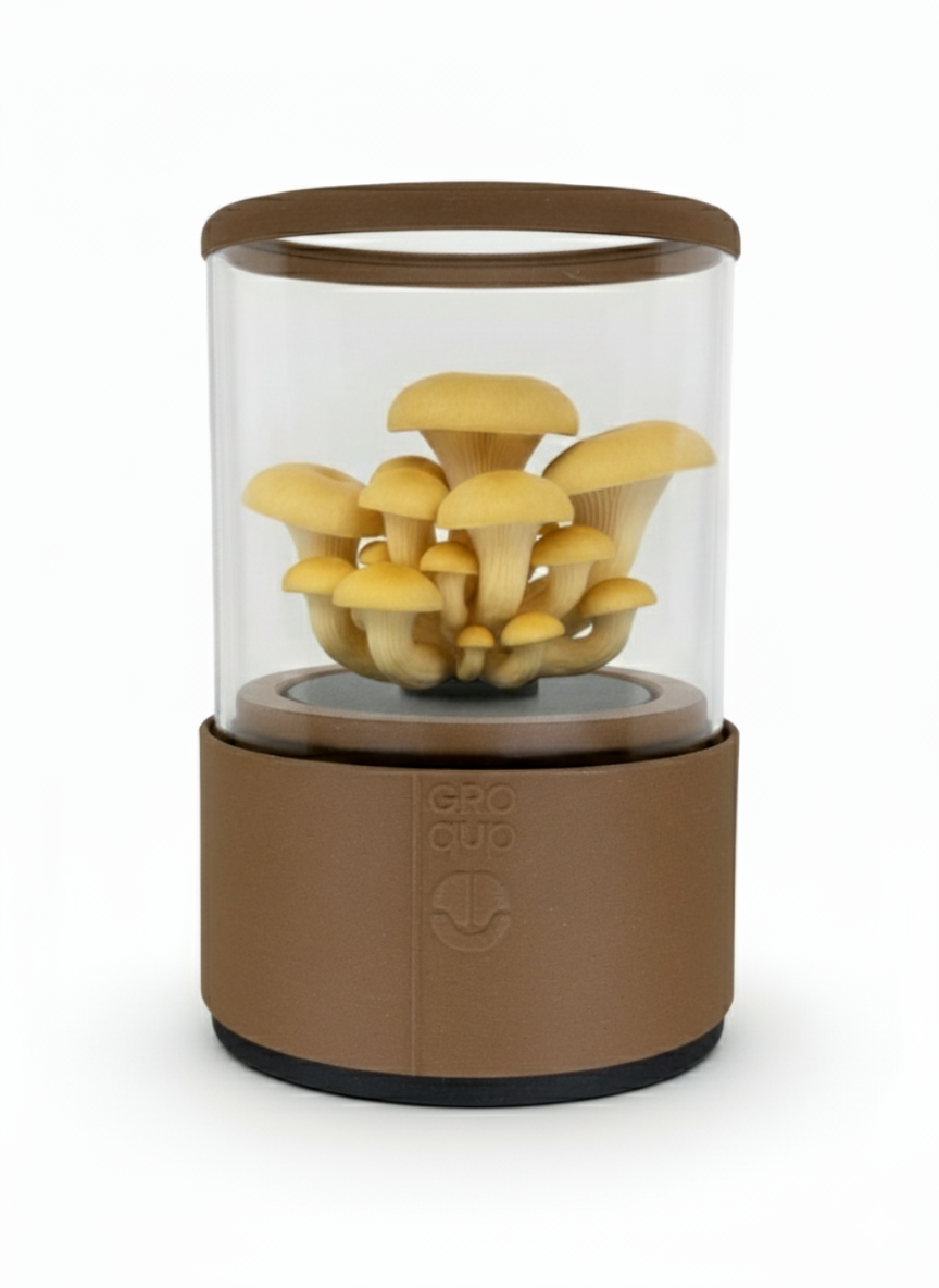 Groqup Mushroom Master