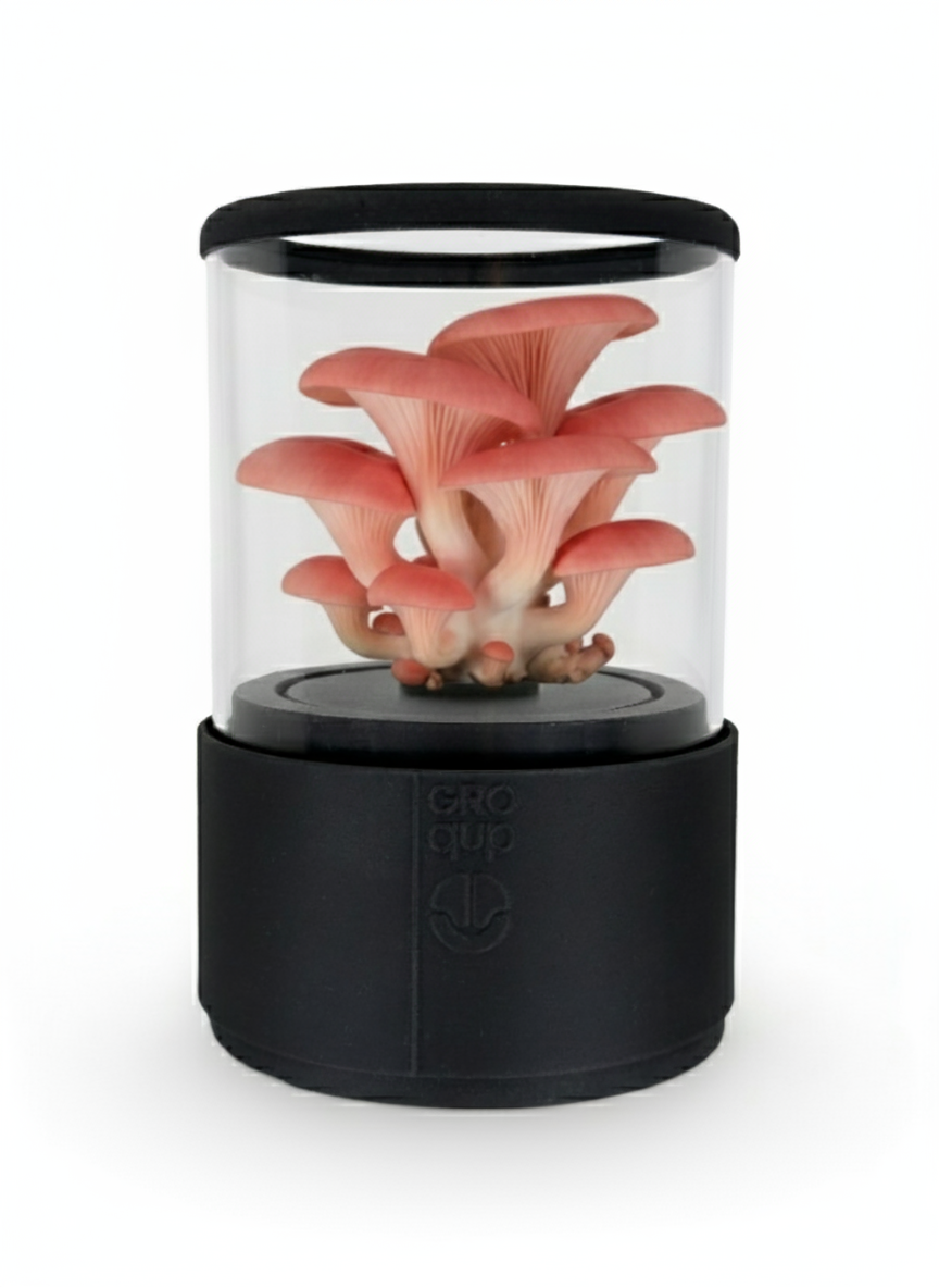 Groqup Mushroom Master