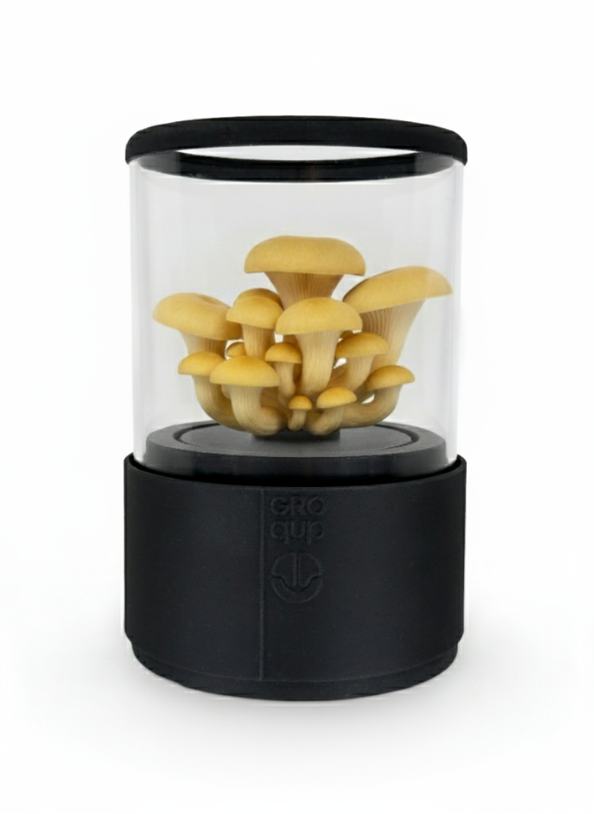 Groqup Mushroom Master