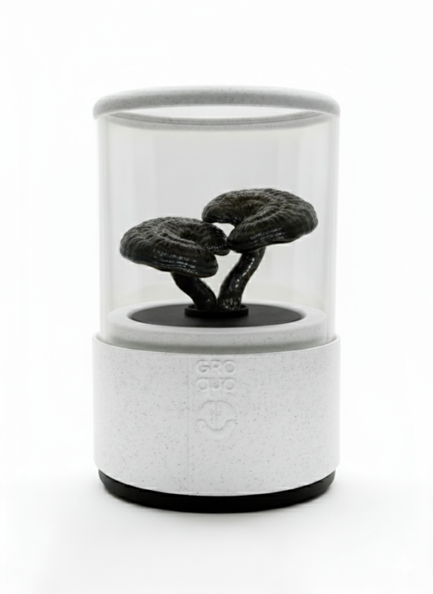 Groqup Mushroom Master