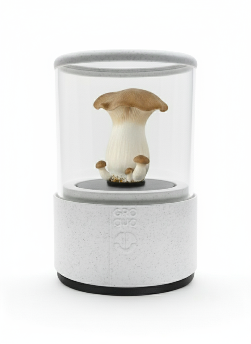 Groqup Mushroom Master