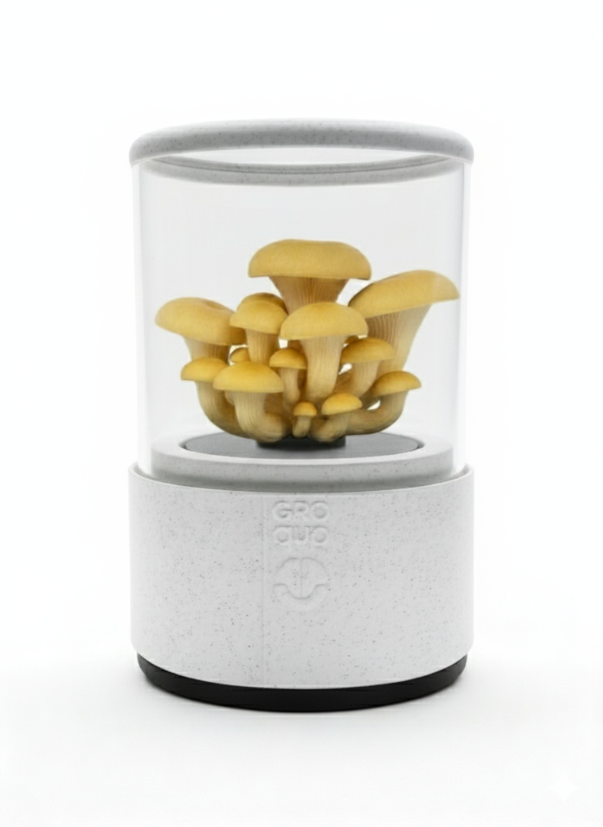 Groqup Mushroom Master