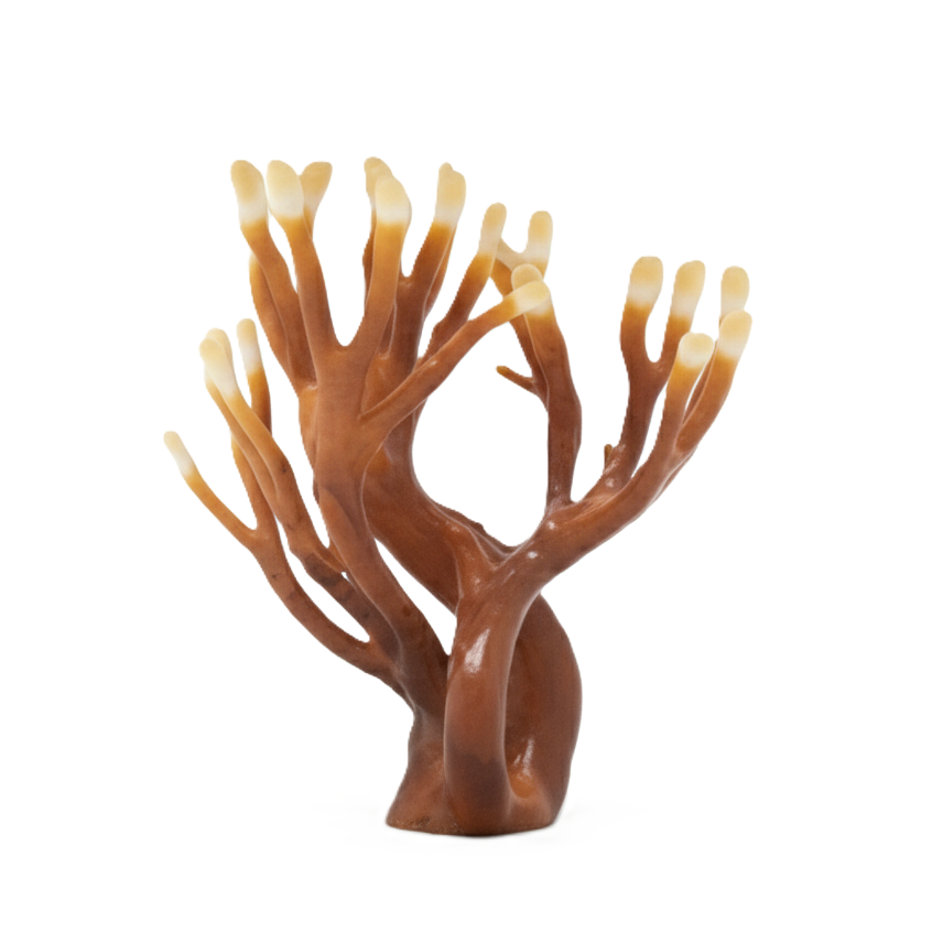 Groqup Mushroom Master